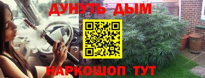 шишки Будённовск