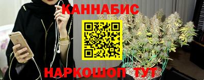 шишки Будённовск