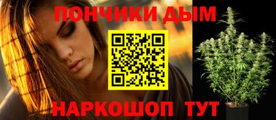шишки Будённовск