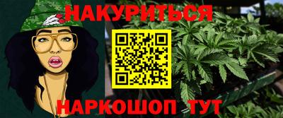 шишки Будённовск